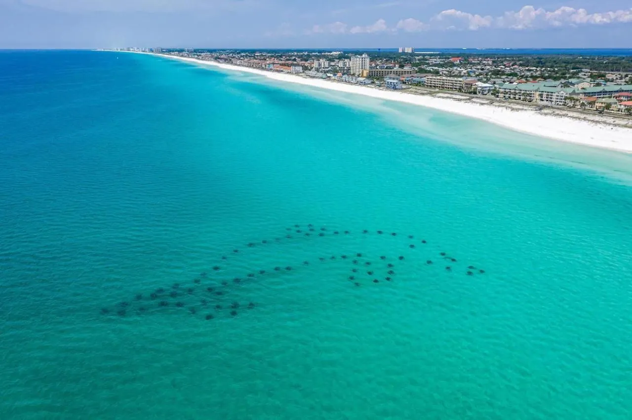 Sandprints C10 Destin